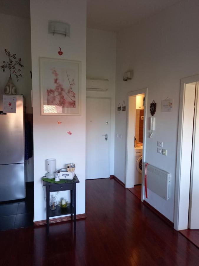 Apartman Silva ビオグラード・ナ・モル エクステリア 写真