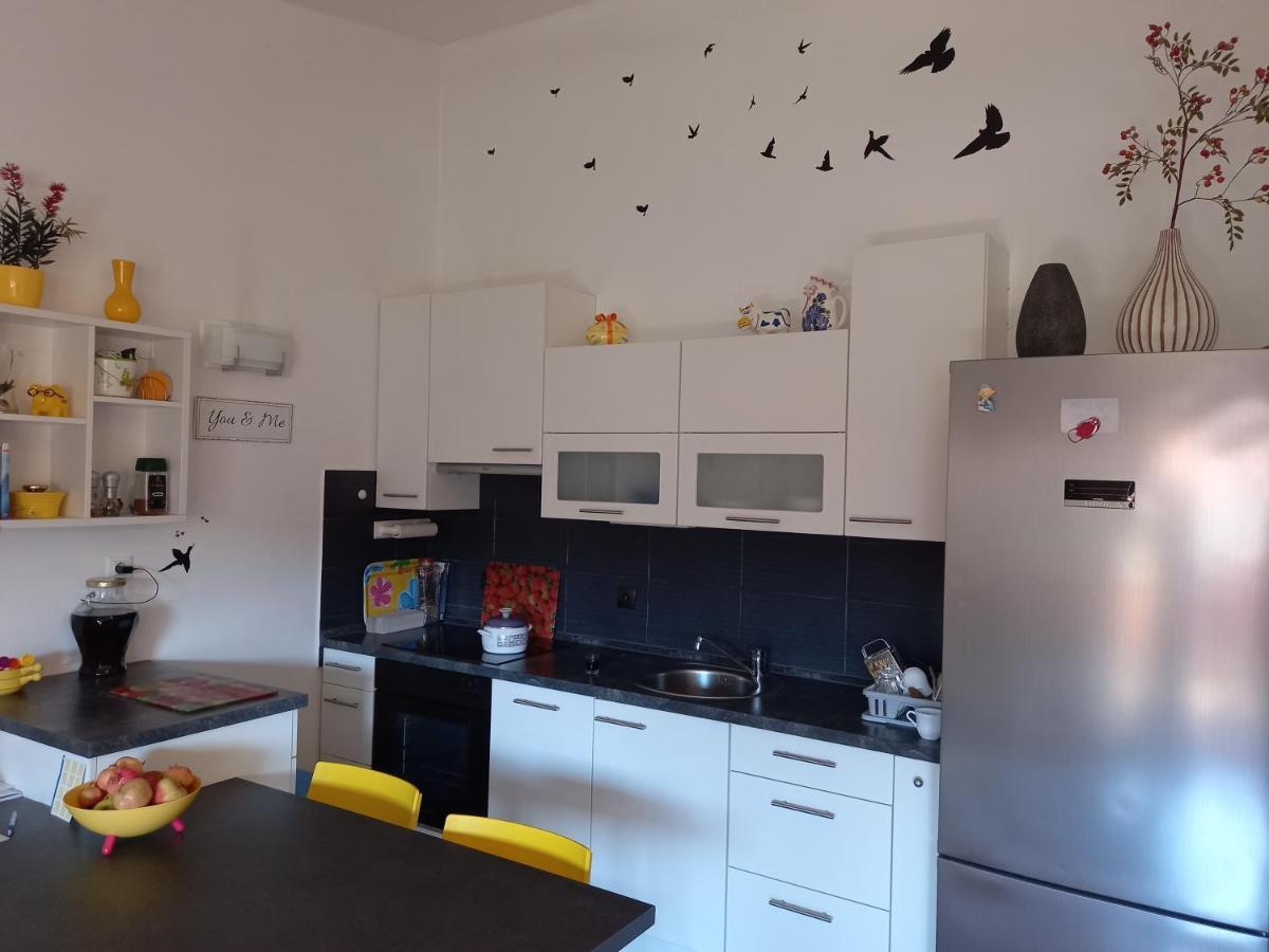 Apartman Silva ビオグラード・ナ・モル エクステリア 写真