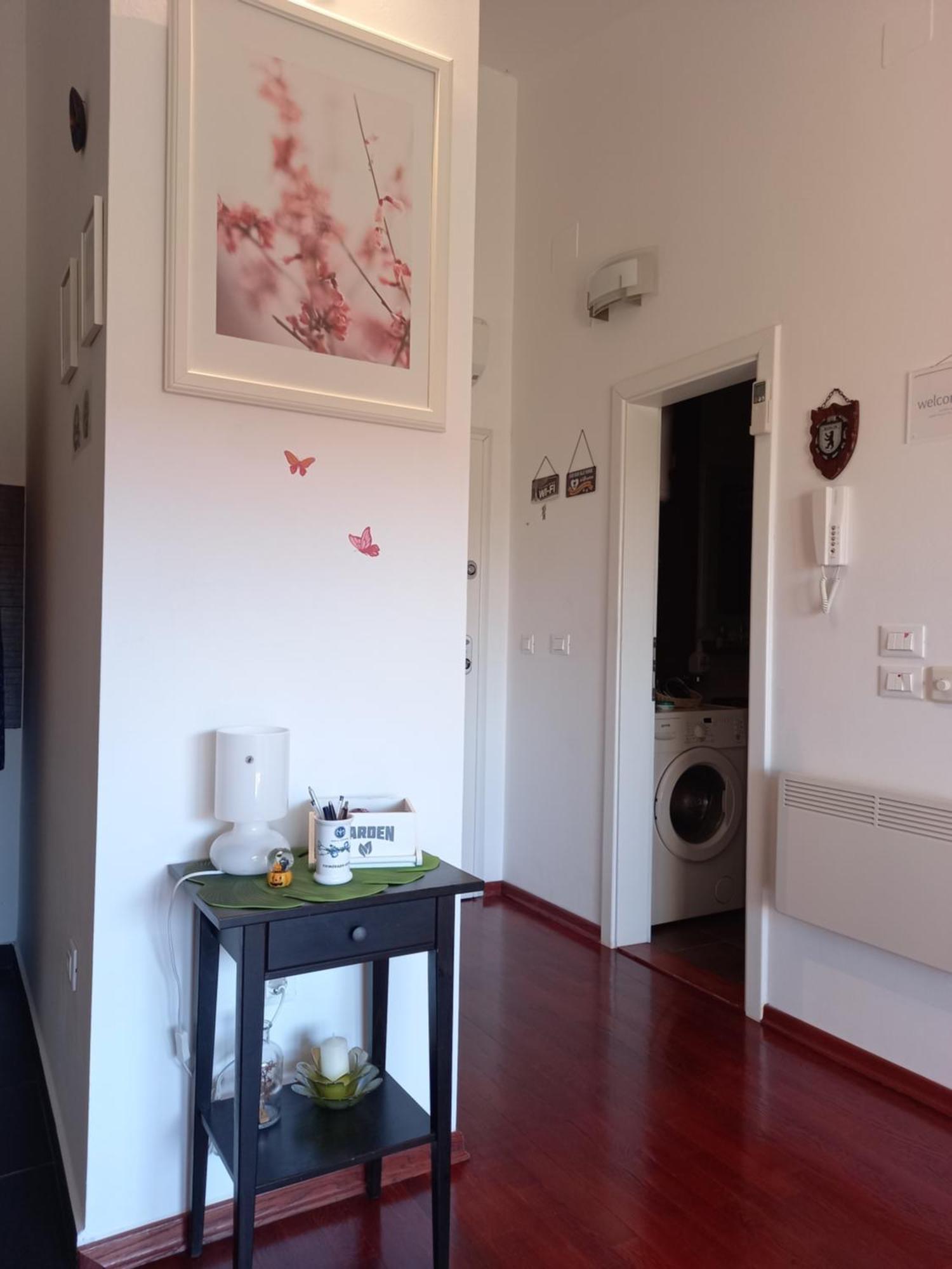 Apartman Silva ビオグラード・ナ・モル エクステリア 写真